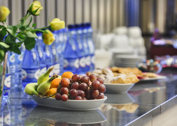 Aparthotel Art Hotel's Sosnowiec